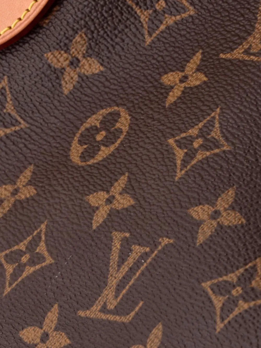 Neverfull Monogram Canvas Gm Tote Bag