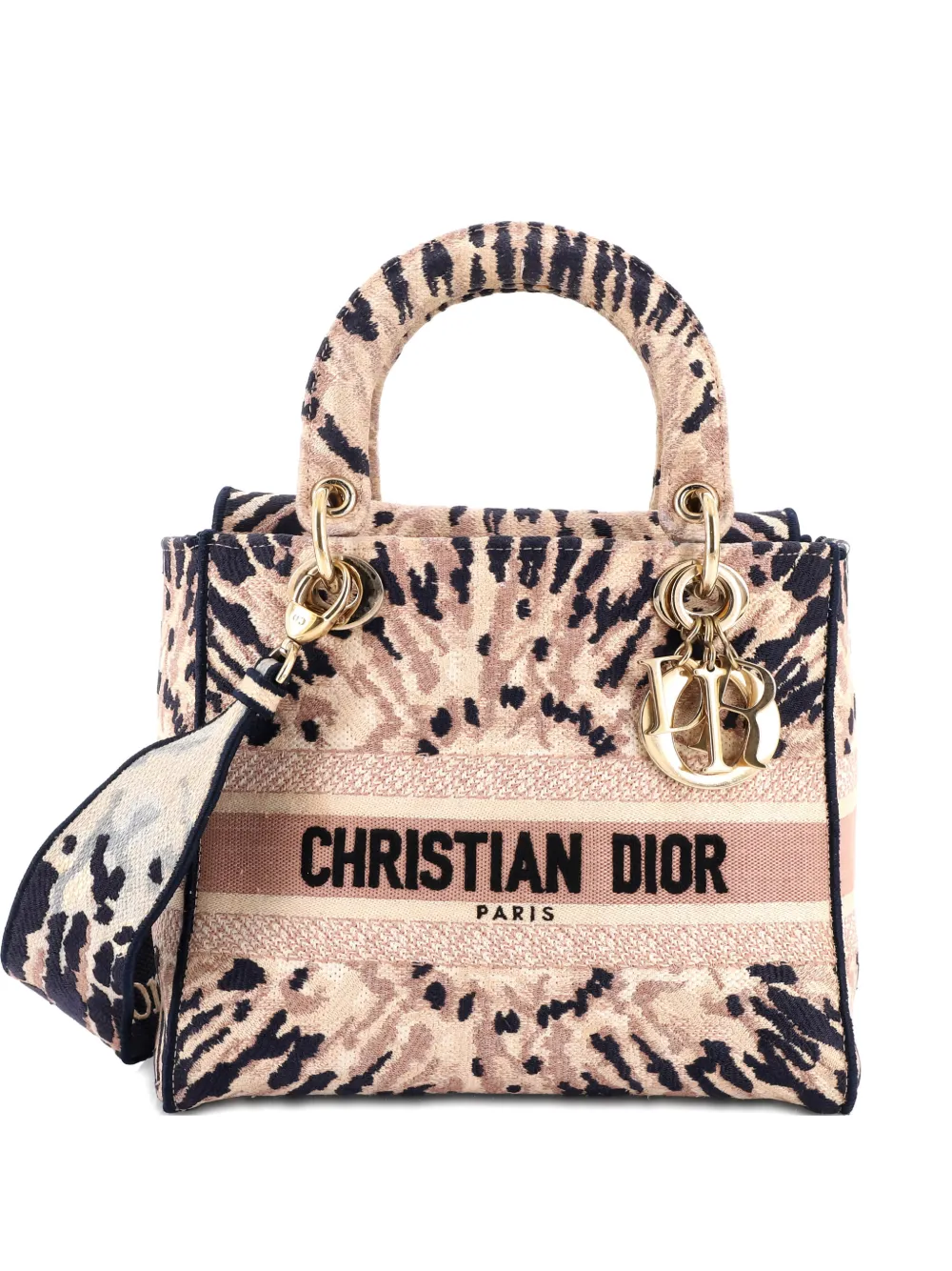 Christian Dior Pre-Owned Lady D-Lite Bag Embroidered Canvas Medium satchel - Blu