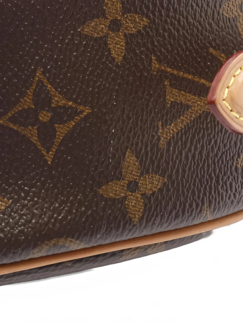 Tambourine Monogram Shoulder Bag