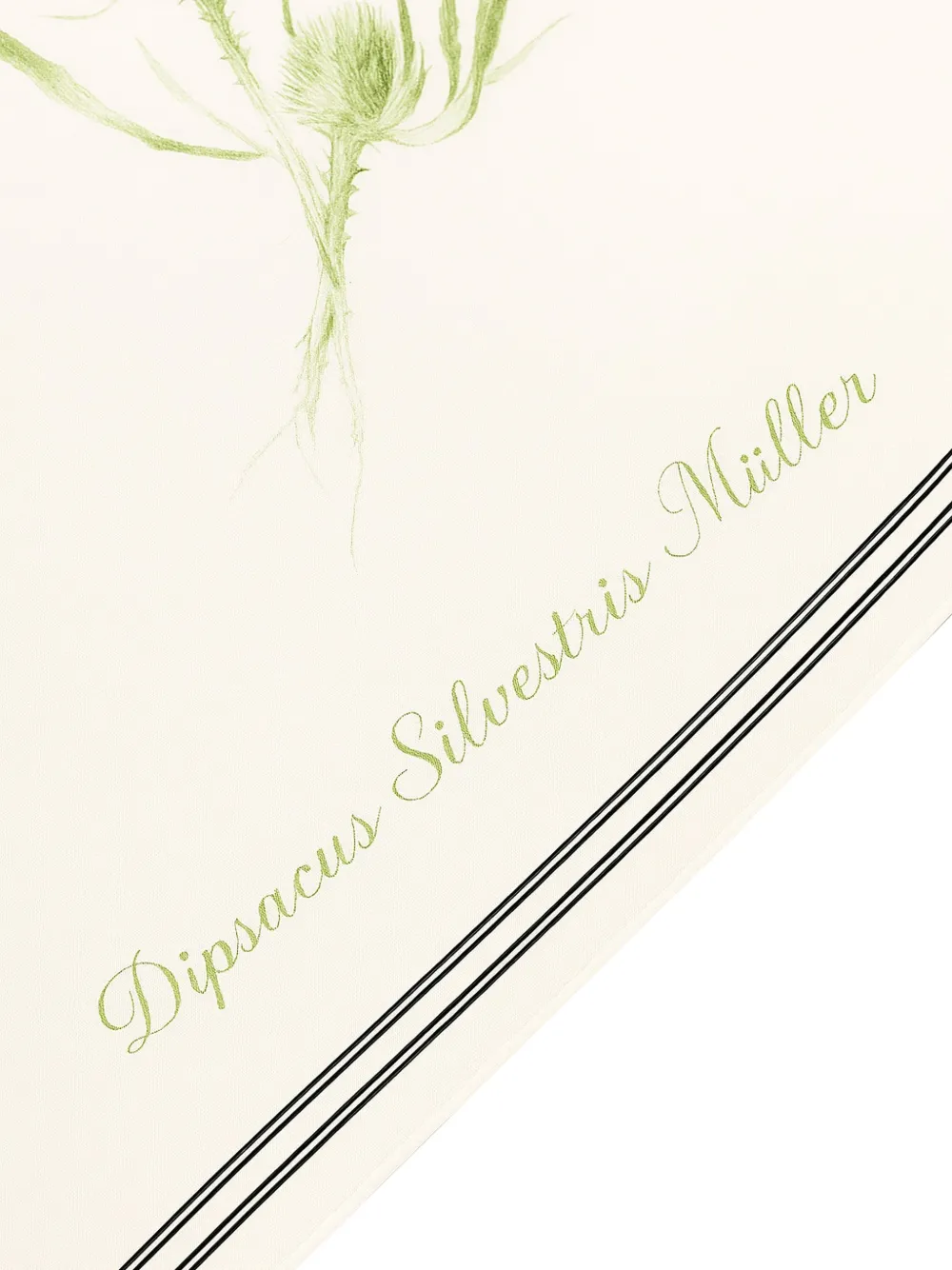 Alberta Ferretti Sjaal met bloemenprint en randdetail Wit