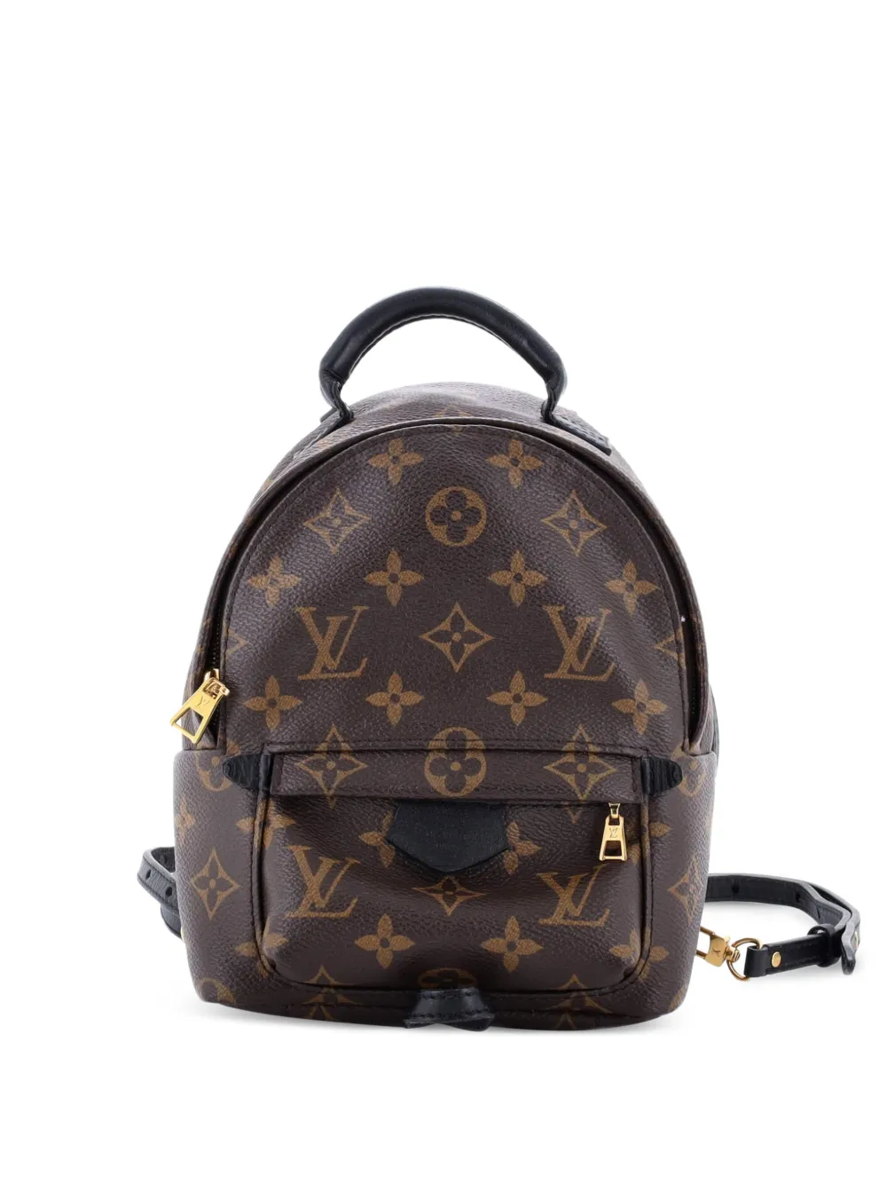 Louis Vuitton Pre-Owned Palm Springs Monogram Canvas Mini backpack | marron | Image 1
