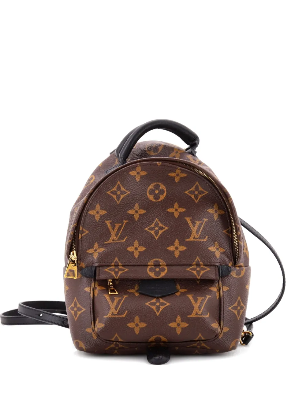 Louis Vuitton Pre-Owned Palm Springs Monogram Canvas Mini backpack | Brown | Image 1