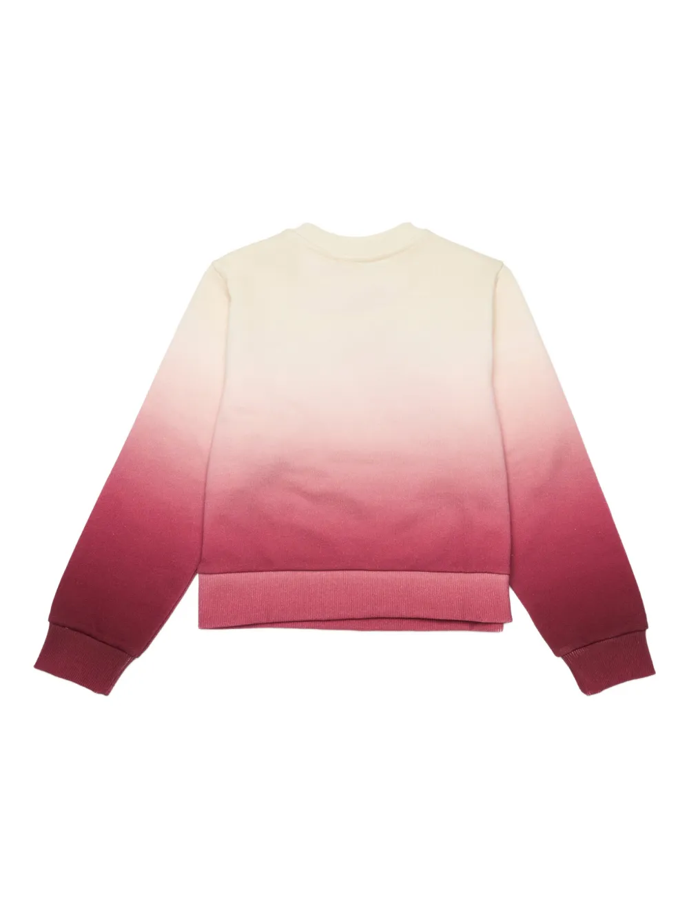 X Pietro Terzini Gradient Logo Crew-Neck Sweatshirt