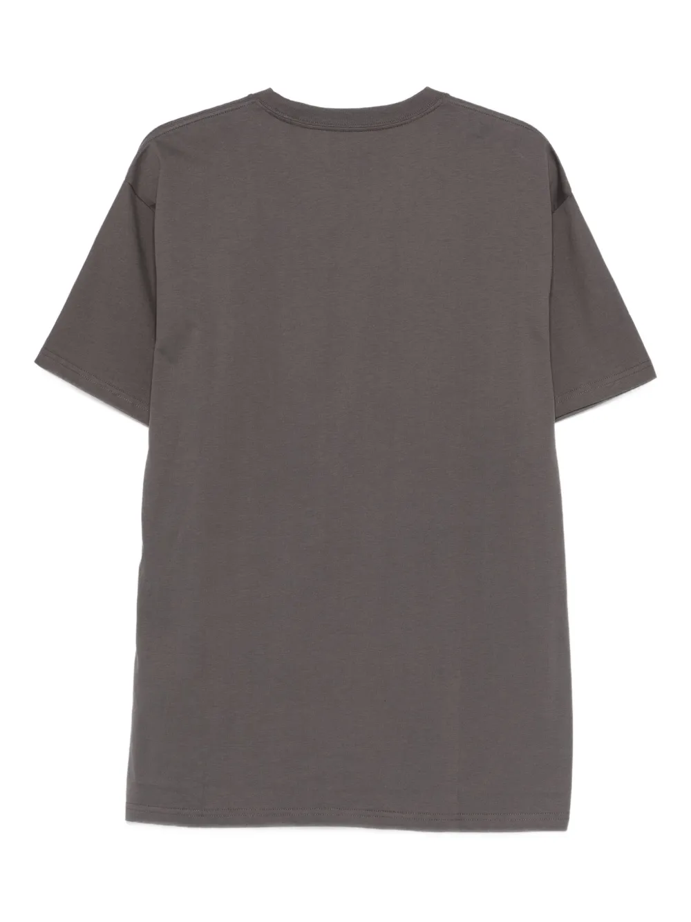 Carhartt WIP T-shirt met geborduurd logo Grijs