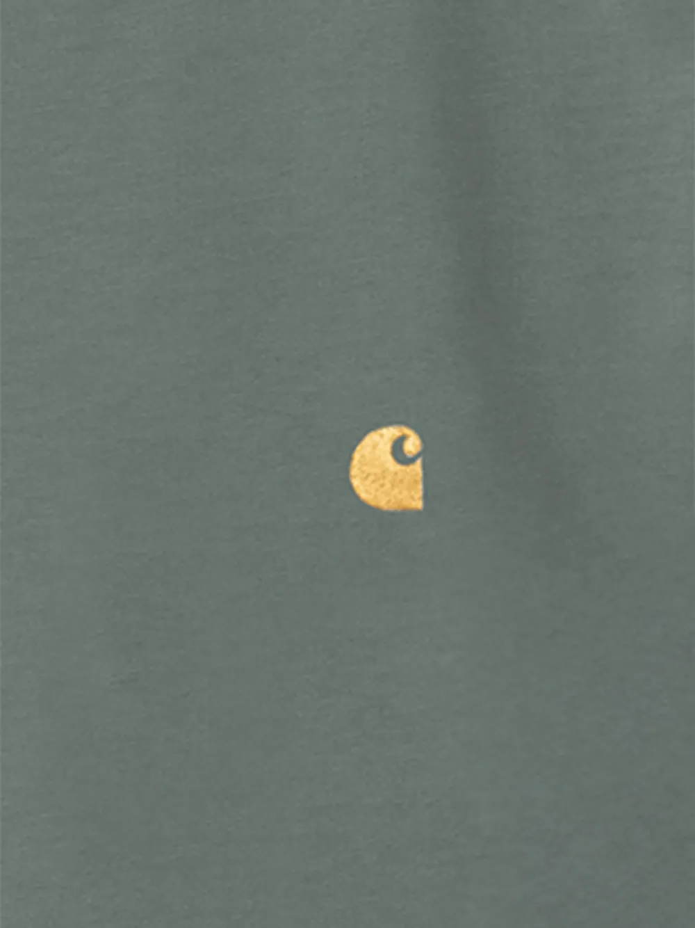 Carhartt WIP Chase T-shirt Groen