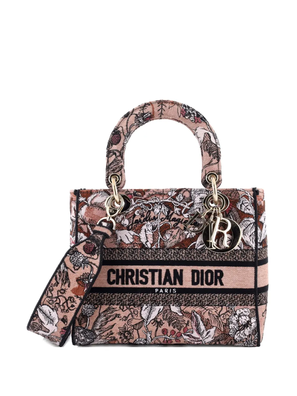 Christian Dior Pre-Owned Lady D-Lite Bag Embroidered Canvas Medium satchel - Nero