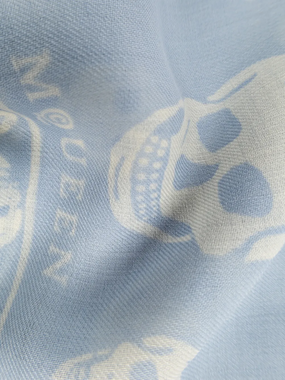  Alexander Mcqueen Skull Fringed Scarf - Blue 