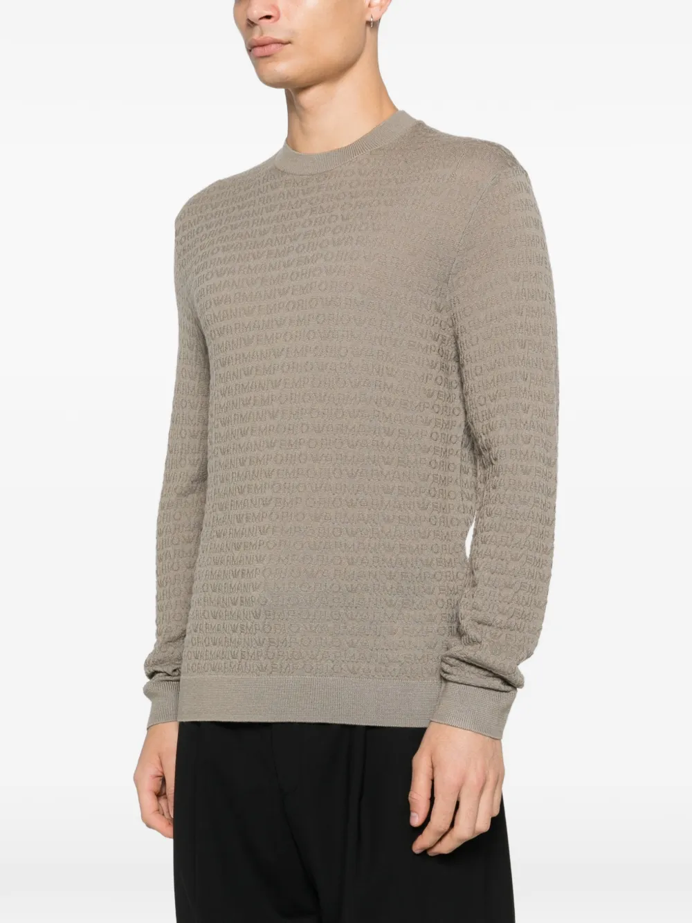 Emporio Armani Trui met ronde hals Bruin