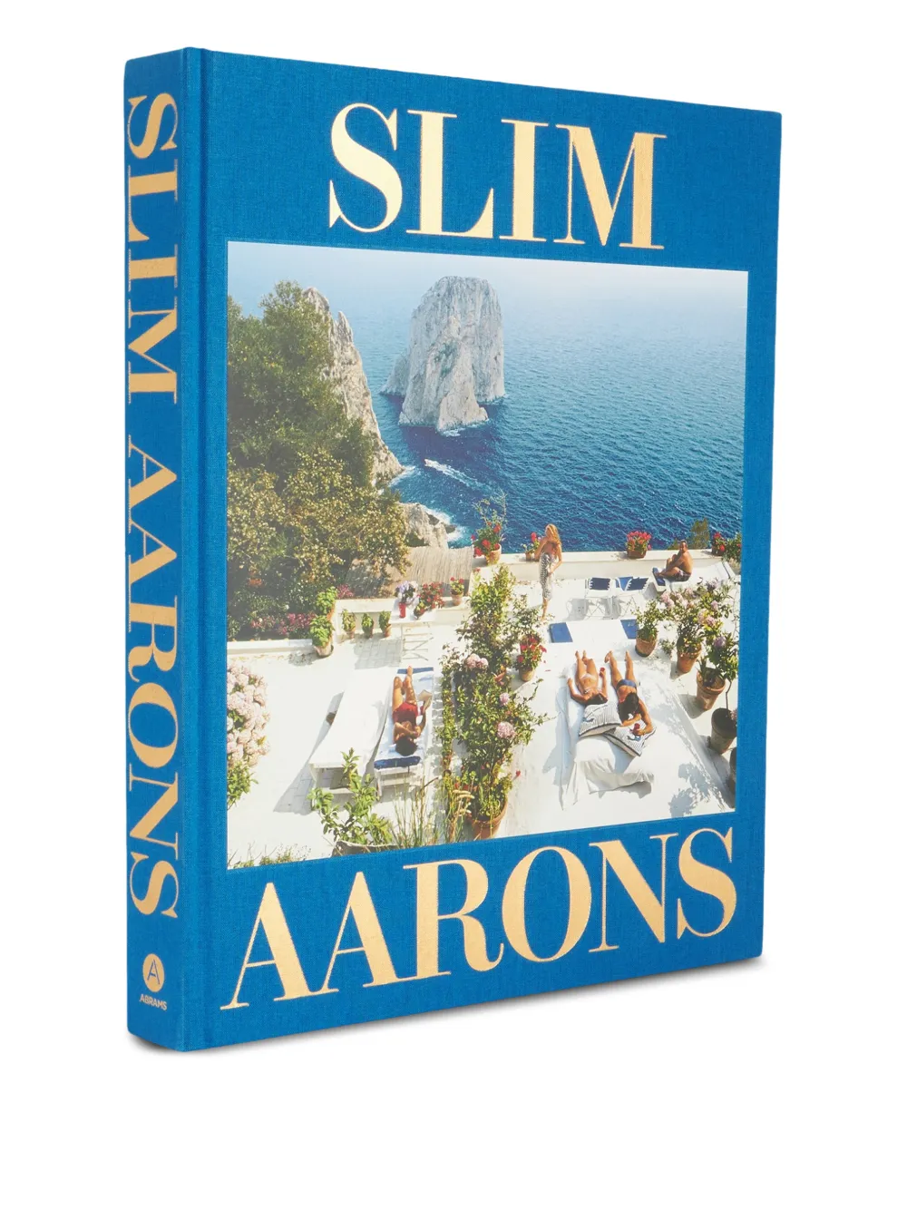  Rizzoli Photographic Slim Aarons Book - Blue 