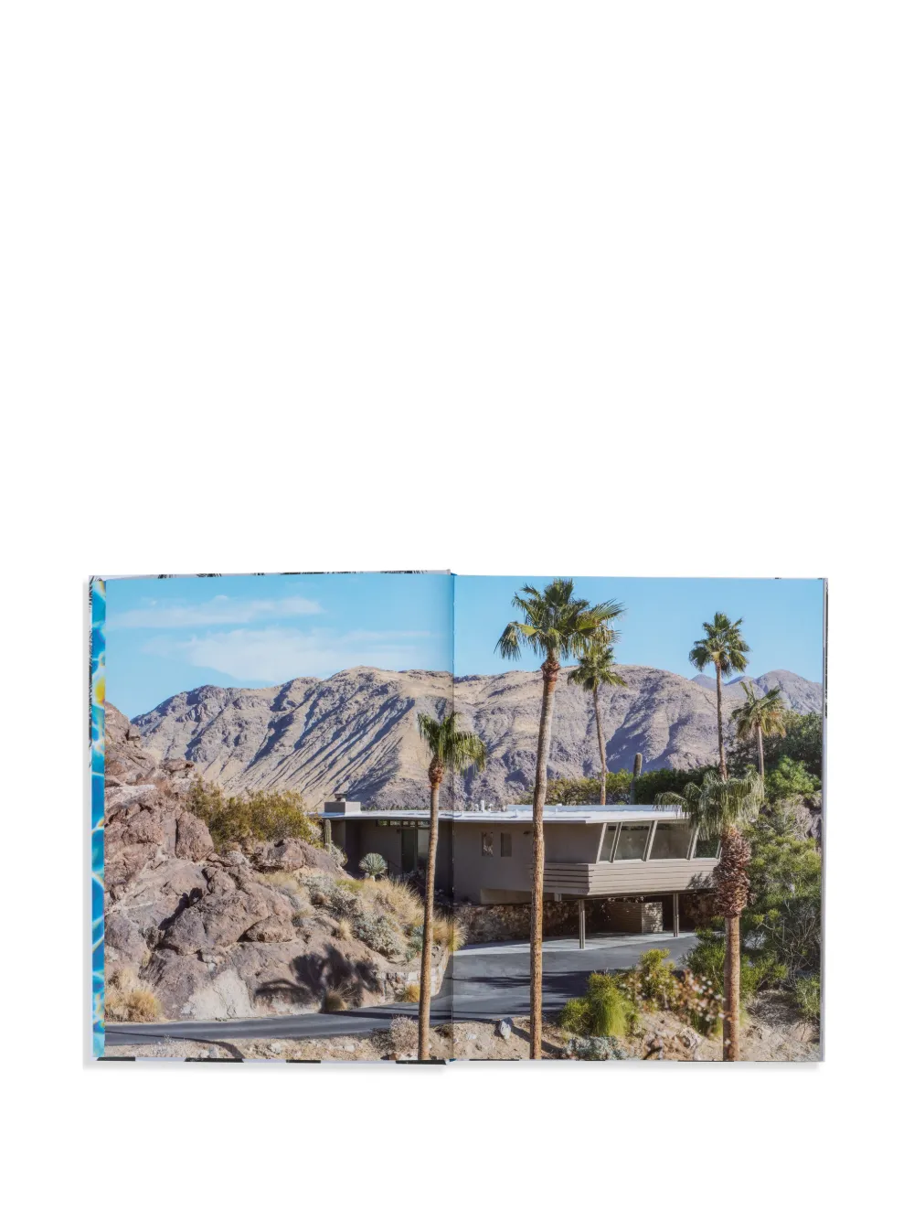Inside Palm Springs Art Magazine