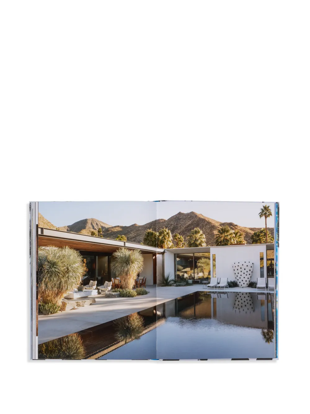 Inside Palm Springs Art Magazine