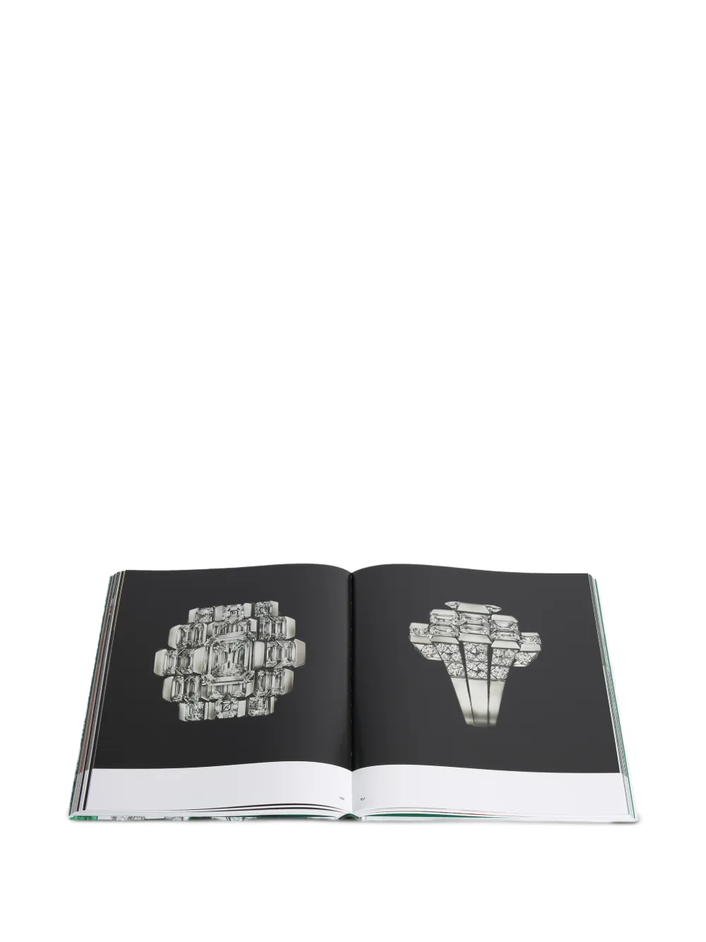 Cartier: Nature Sauvage. High Jewelry and Precious Objects book