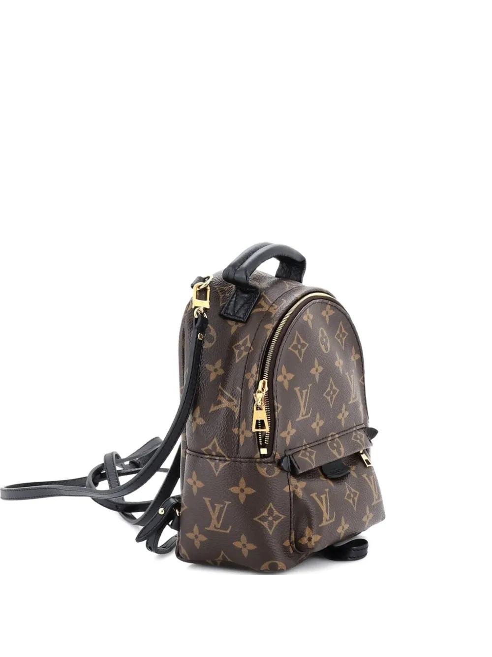 Louis Vuitton Pre-Owned Palm Springs Monogram Canvas Mini backpack | marron | Image 1