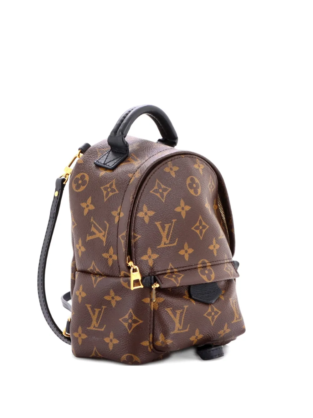 Louis Vuitton Pre-Owned Palm Springs Monogram Canvas Mini backpack | marron | Image 1
