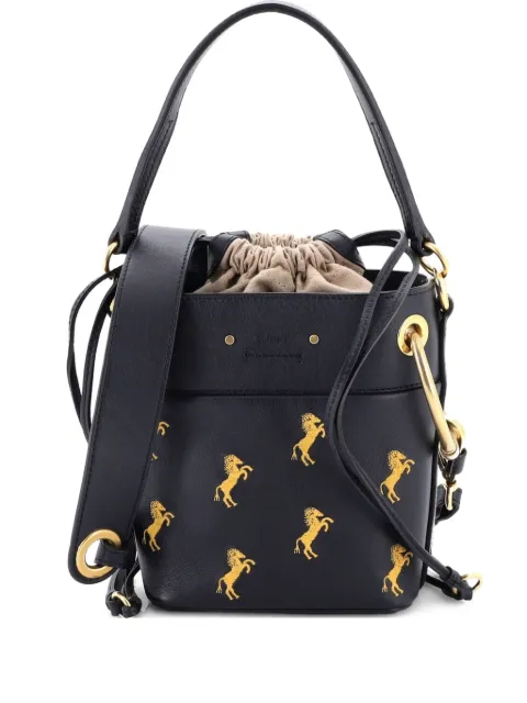 Chloé Pre-Owned Roy Embroidered Leather Mini bucket bag