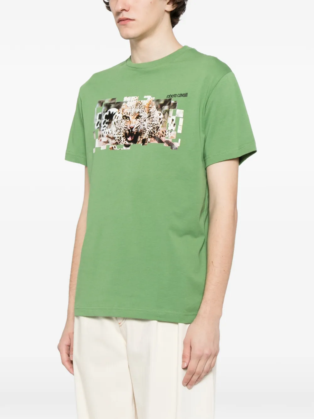 Roberto Cavalli Katoenen T-shirt met grafische print Groen