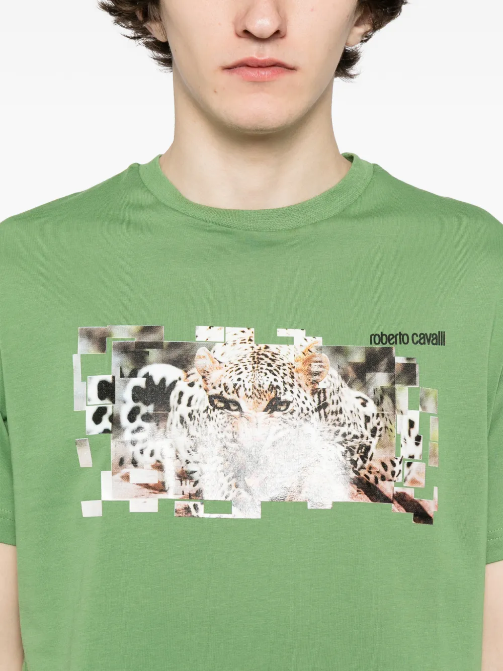 Roberto Cavalli Katoenen T-shirt met grafische print Groen