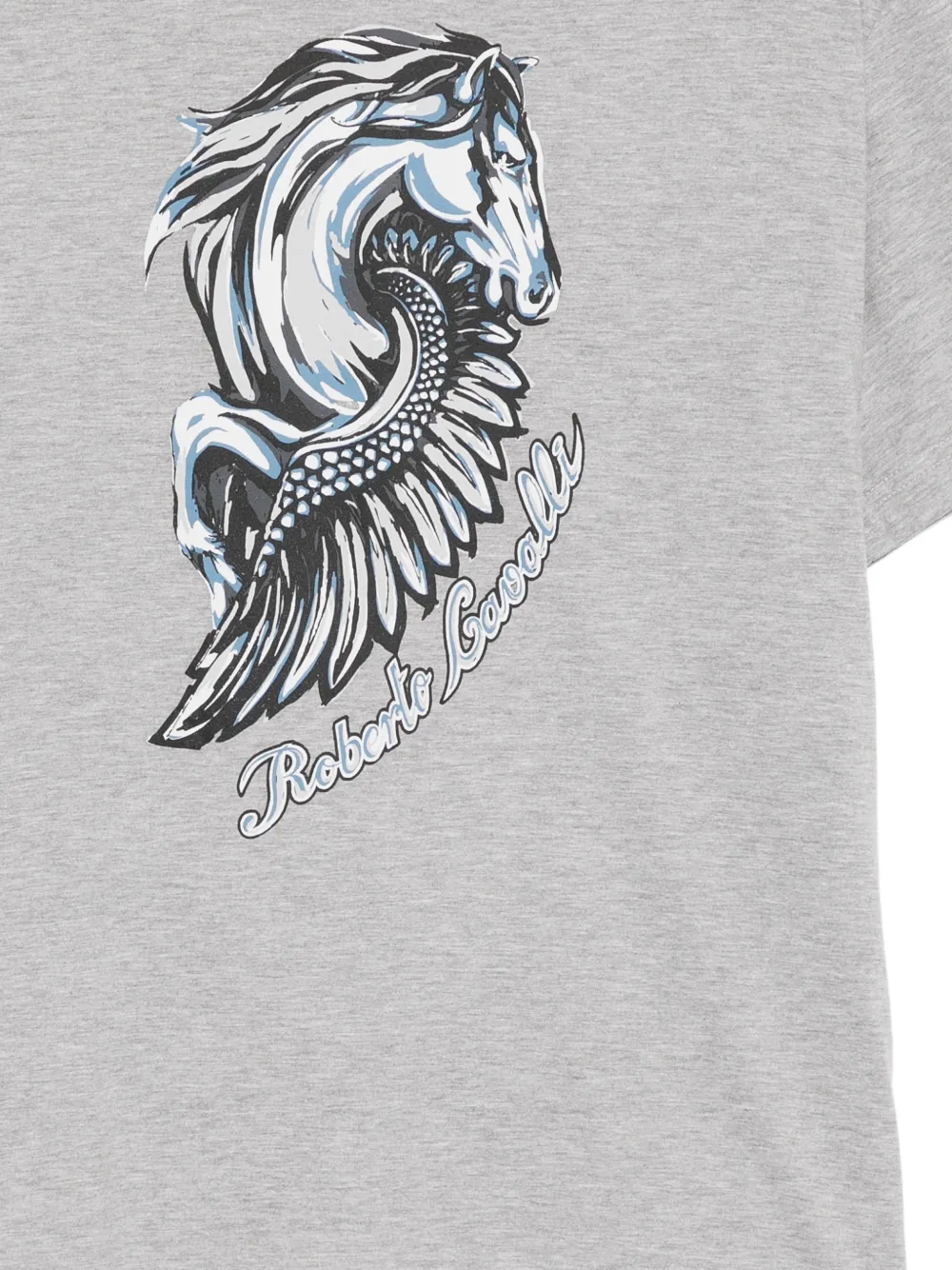 Roberto Cavalli T-shirt met print Grijs