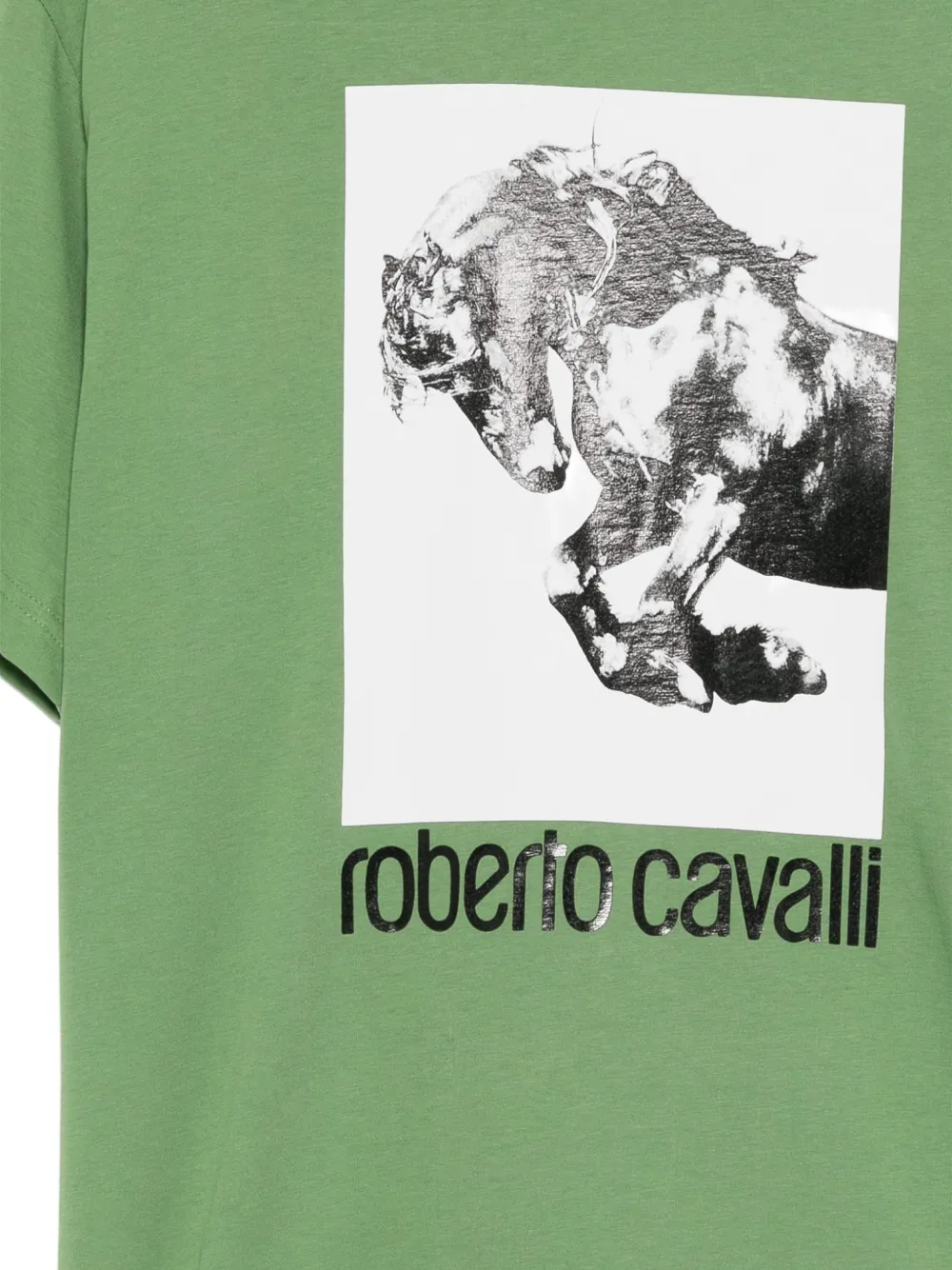 Roberto Cavalli Katoenen T-shirt met grafische print Groen
