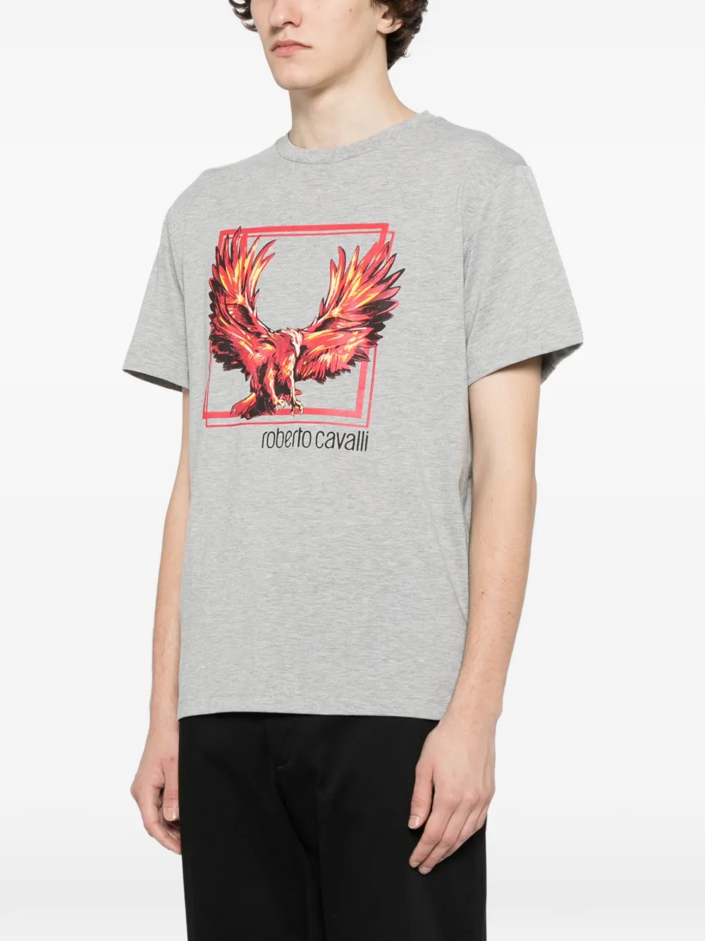 Roberto Cavalli T-shirt met ronde hals met print Grijs