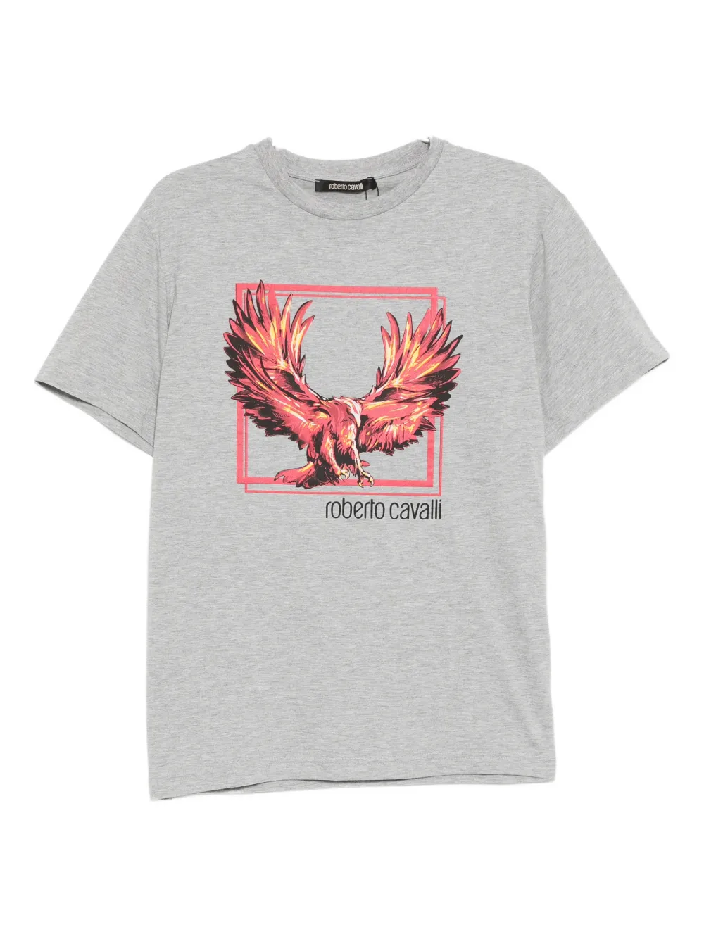 Roberto Cavalli graphic-print round-neck T-shirt - Grigio
