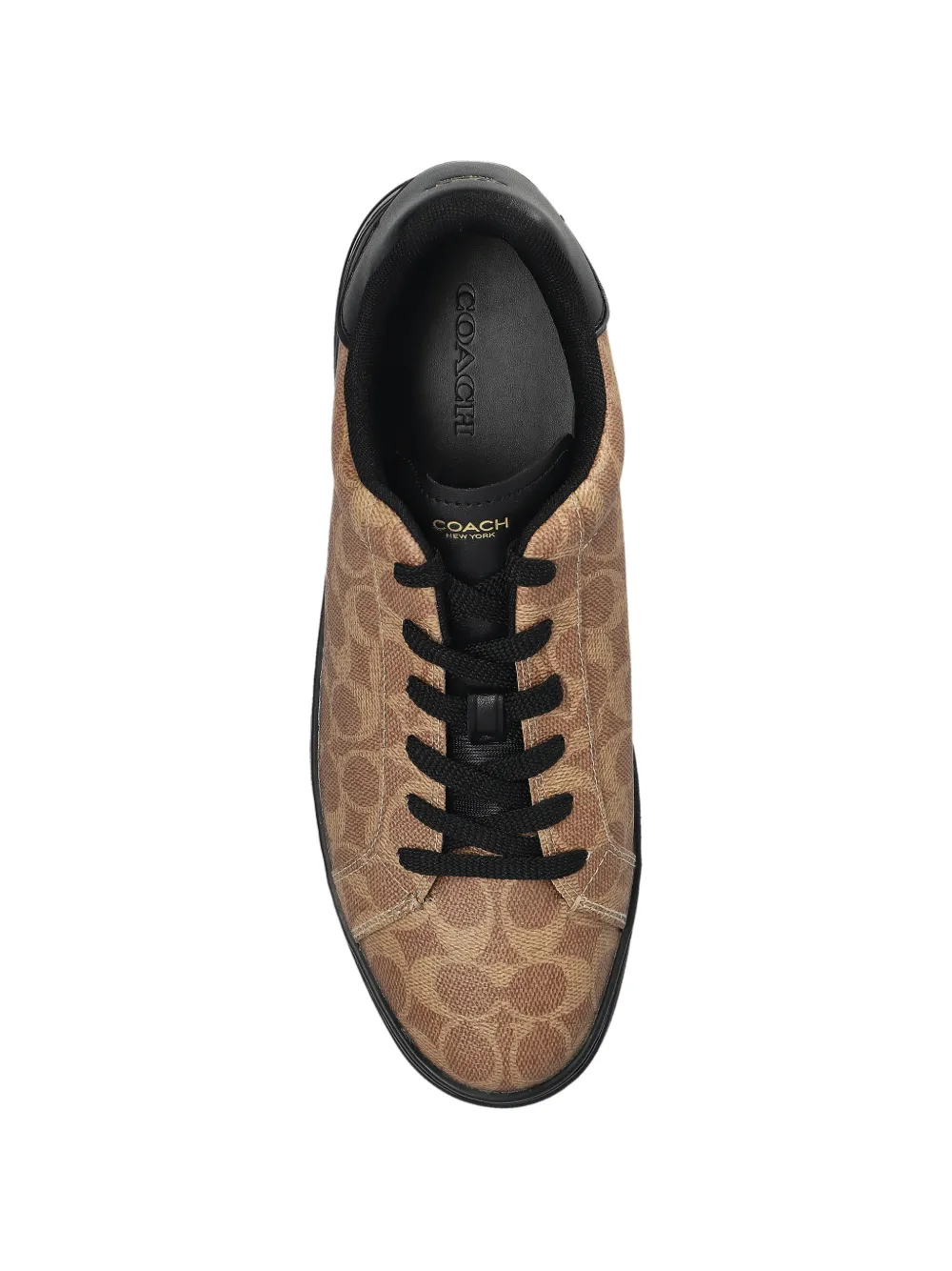 Coach High Line sneakers Bruin