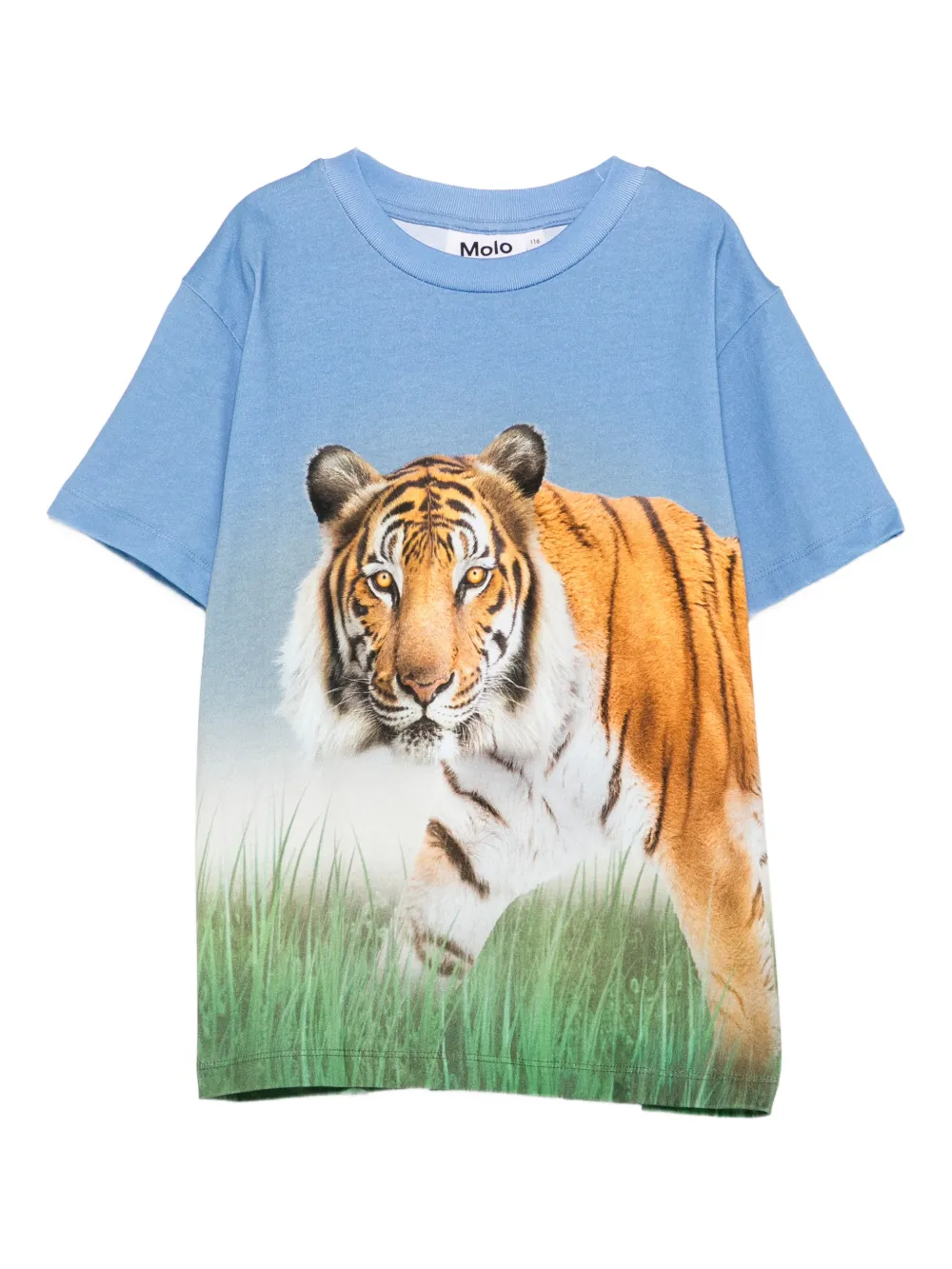 Molo Rubin tiger-print T-shirt - Blu