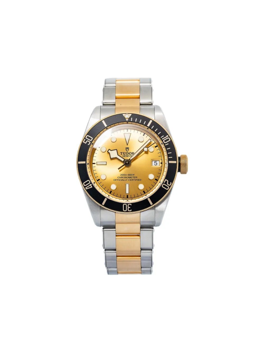 TUDOR Black Bay S&G 41mm watch - Oro