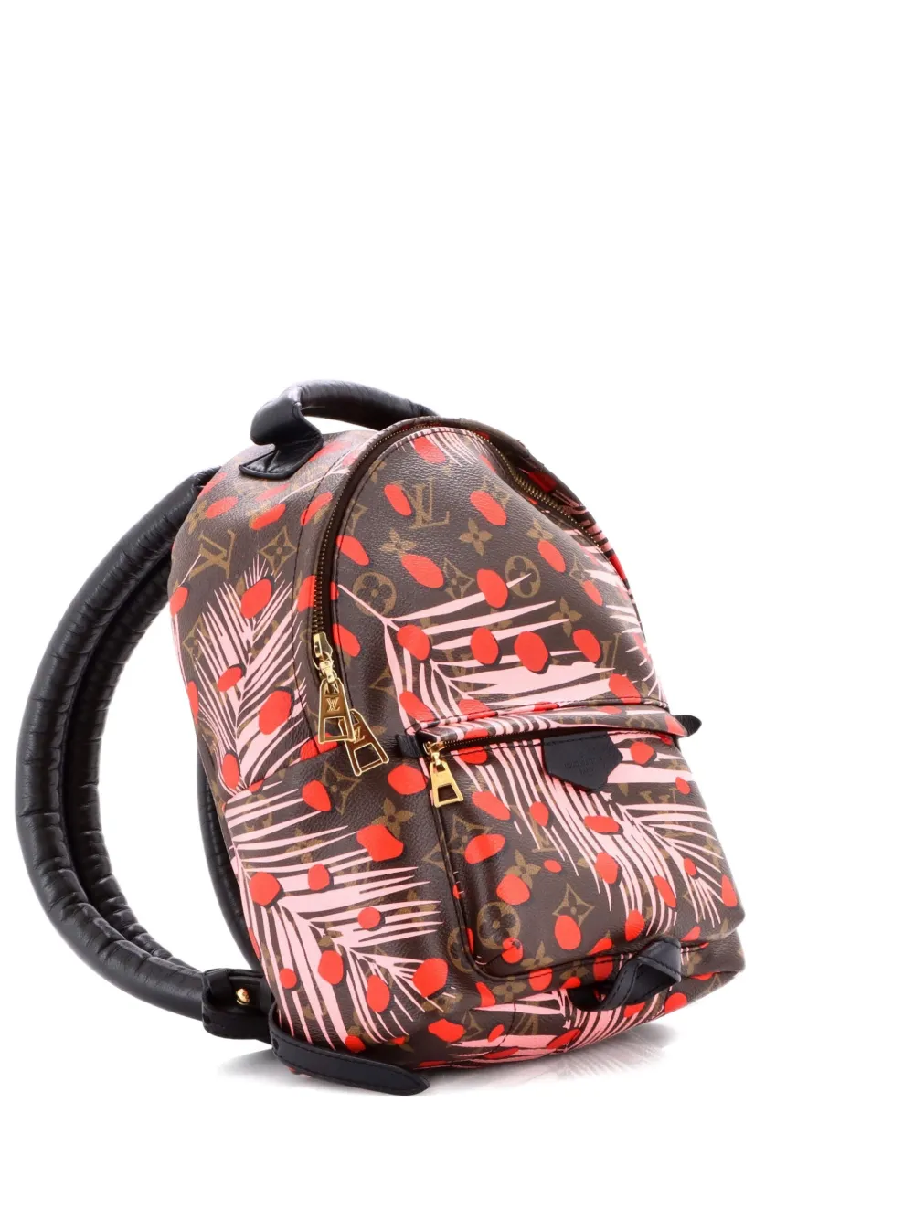Louis Vuitton Pre-Owned Palm Springs Limited Edition Monogram Jungle Dots PM backpack - Brown