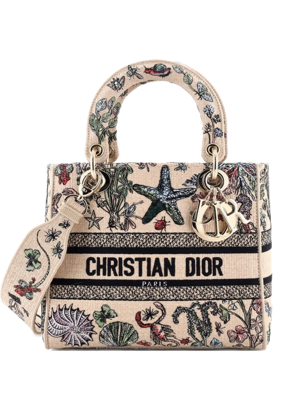 Christian Dior Pre-Owned Lady D-Lite Bag Embroidered Raffia Medium satchel - Nude