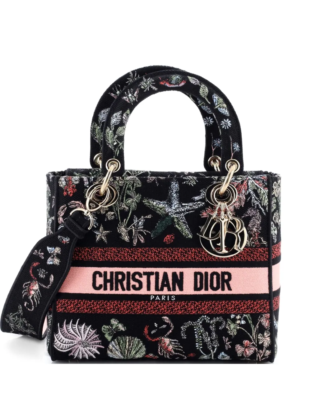 Christian Dior Pre-Owned Lady D-Lite Bag Embroidered Canvas Medium satchel - Multicolore