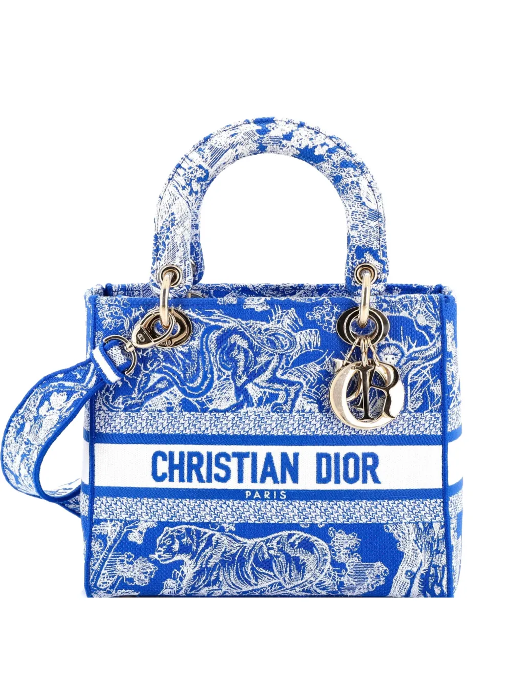 Christian Dior Pre-Owned Lady D-Lite Bag Embroidered Canvas Medium satchel - Blu