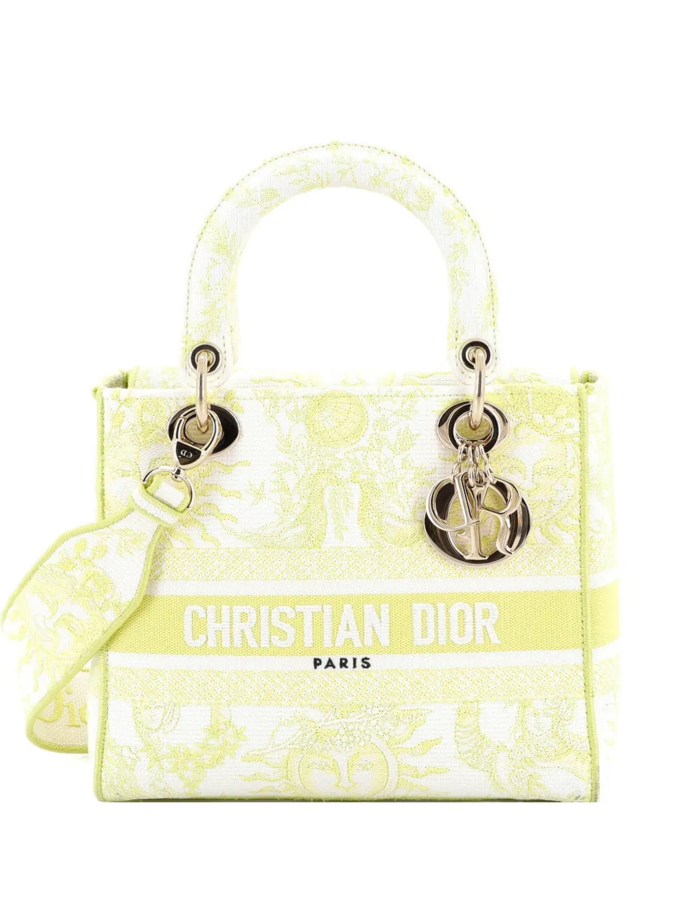 Christian Dior Pre-Owned Lady D-Lite Bag Embroidered Canvas Medium satchel - Multicolore