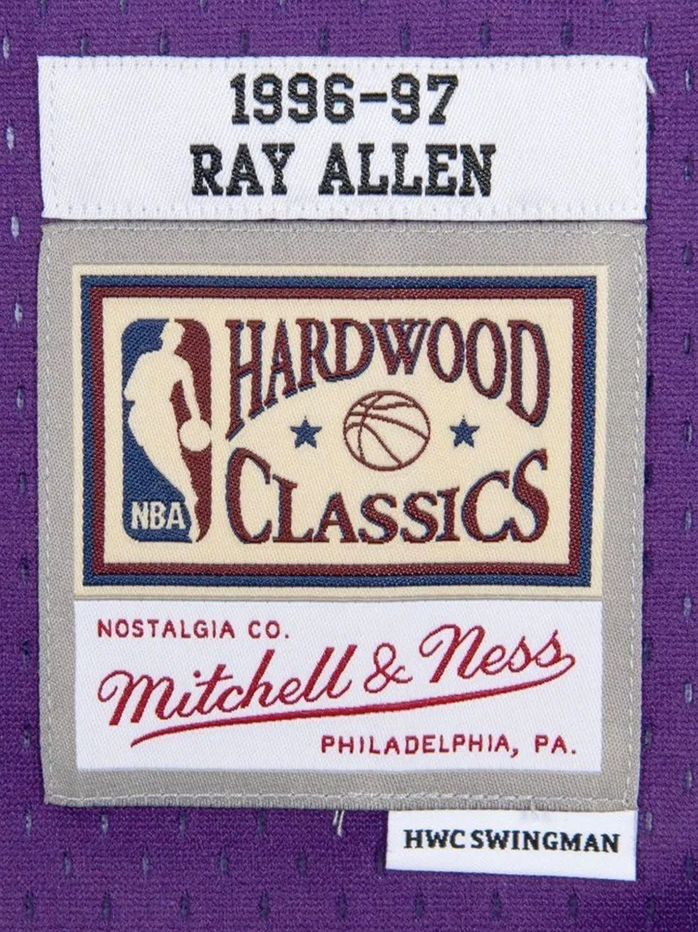 Mitchell & Ness Ray Allen jersey Paars