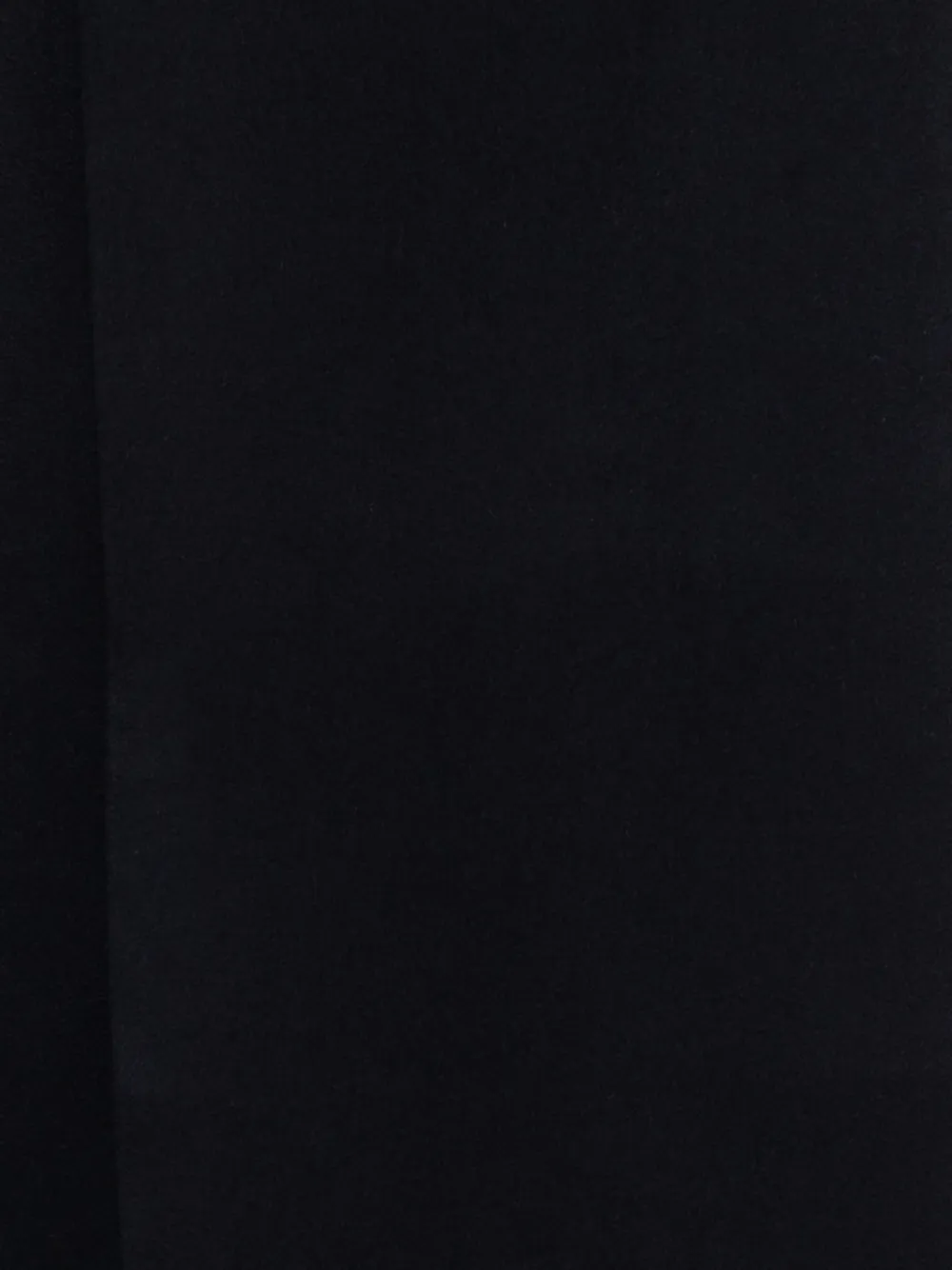 Max Mara fringed-hem logo-embroidered scarf - Blauw