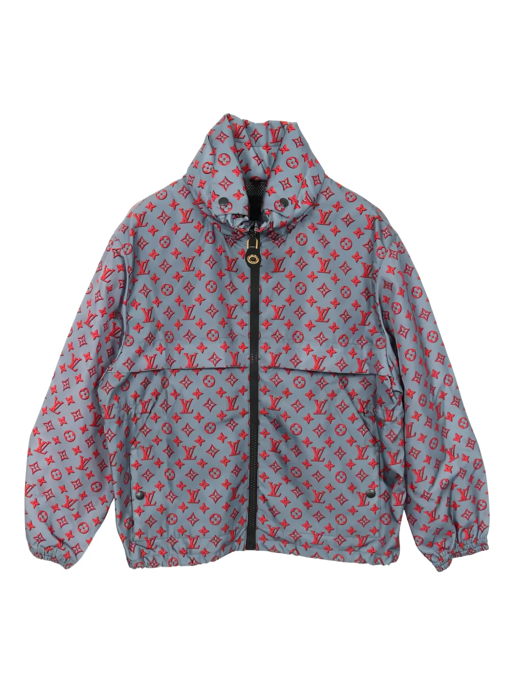 Louis Vuitton Pre-Owned 2010s hooded monogram jacket - Blu