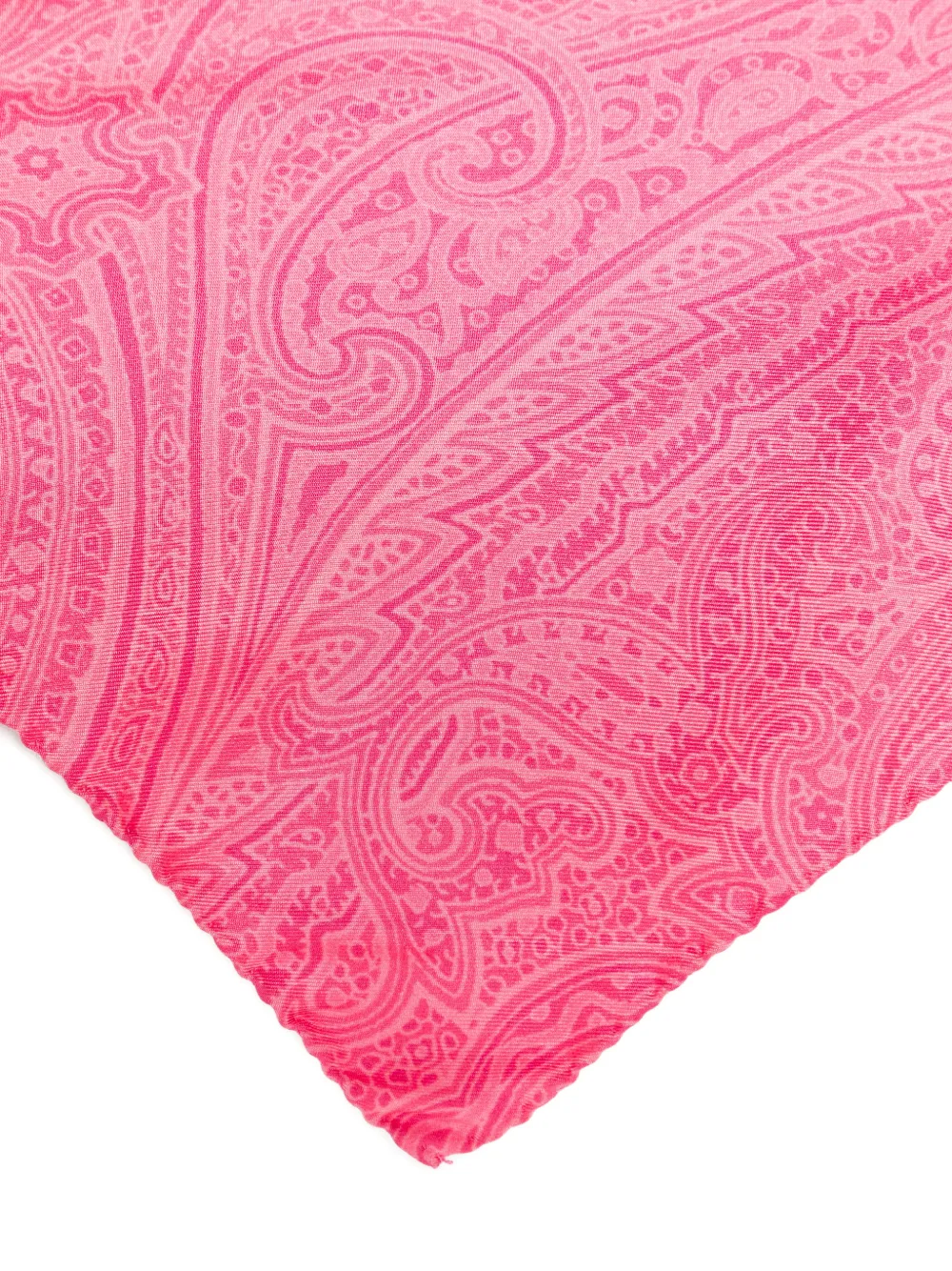 ETRO Haar accessoire met paisley-print Roze