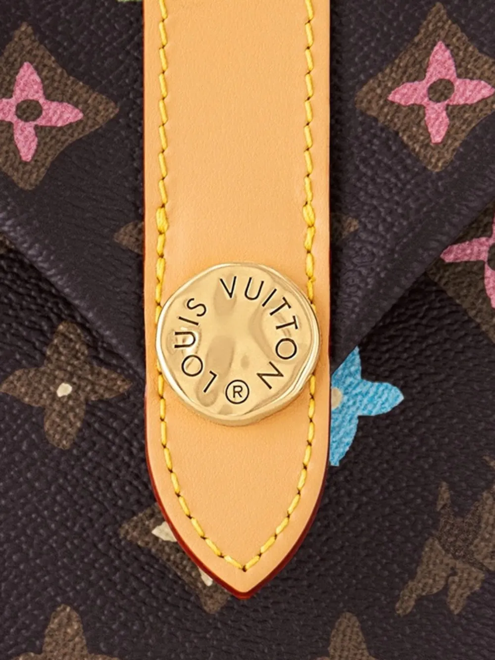 Louis Vuitton Pre-Owned Tyler the Creator messengertas met monogram Bruin