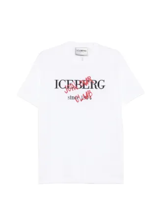 Iceberg