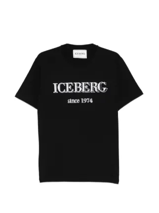 Iceberg