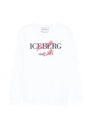 Iceberg