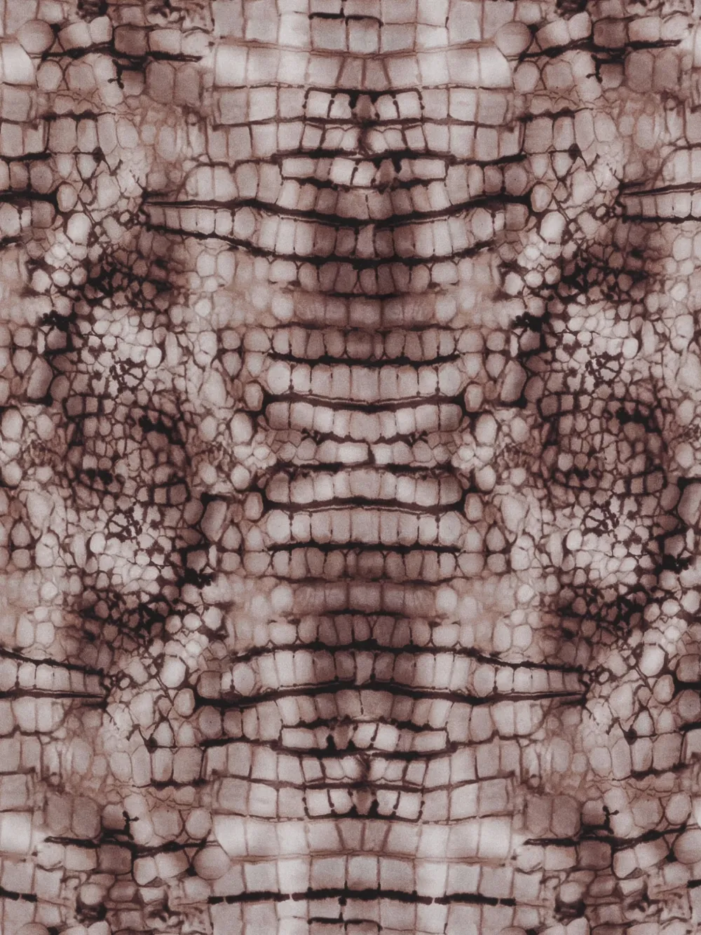  Elisabetta Franchi Patterned Scarf - Brown 
