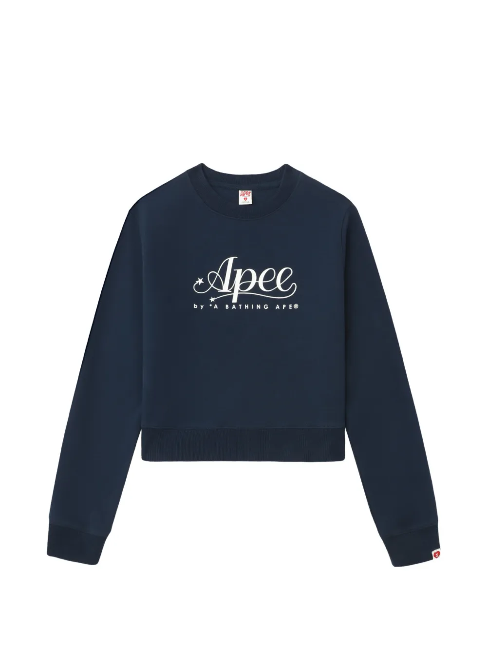 APEE™ by *A BATHING APE® logo sewater - Blu