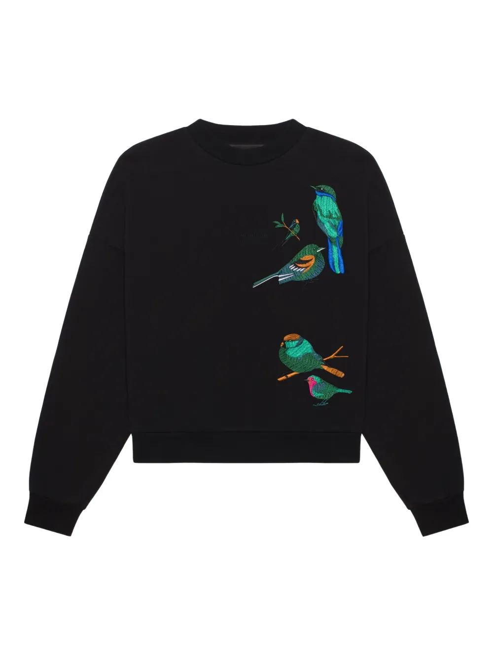 PLACE OF ËLMS Felpa con ricamo - Nero