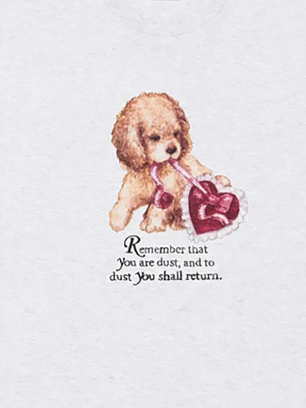 Supreme Dust T-shirt - Grijs