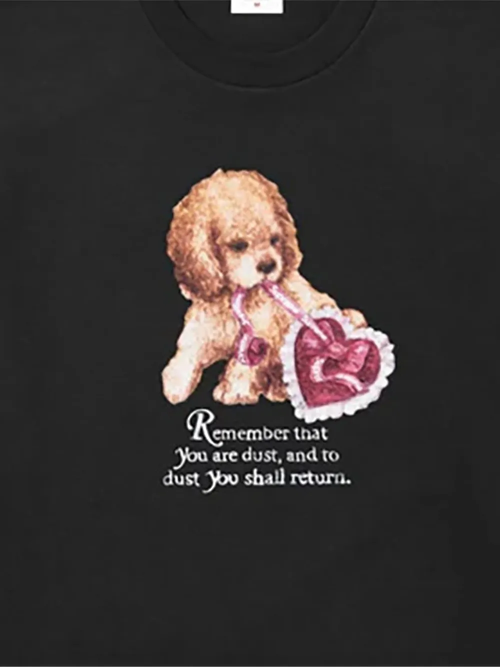 Supreme Dust T-shirt - Zwart