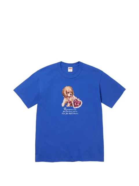 Supreme Dust graphic-print T-shirt