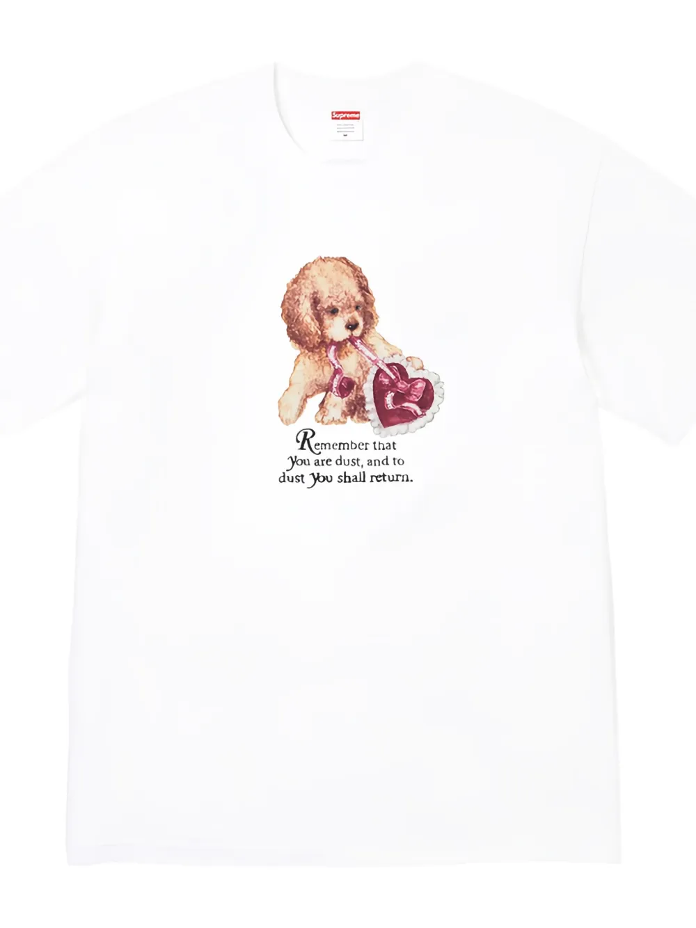 Supreme Dust T-shirt Wit