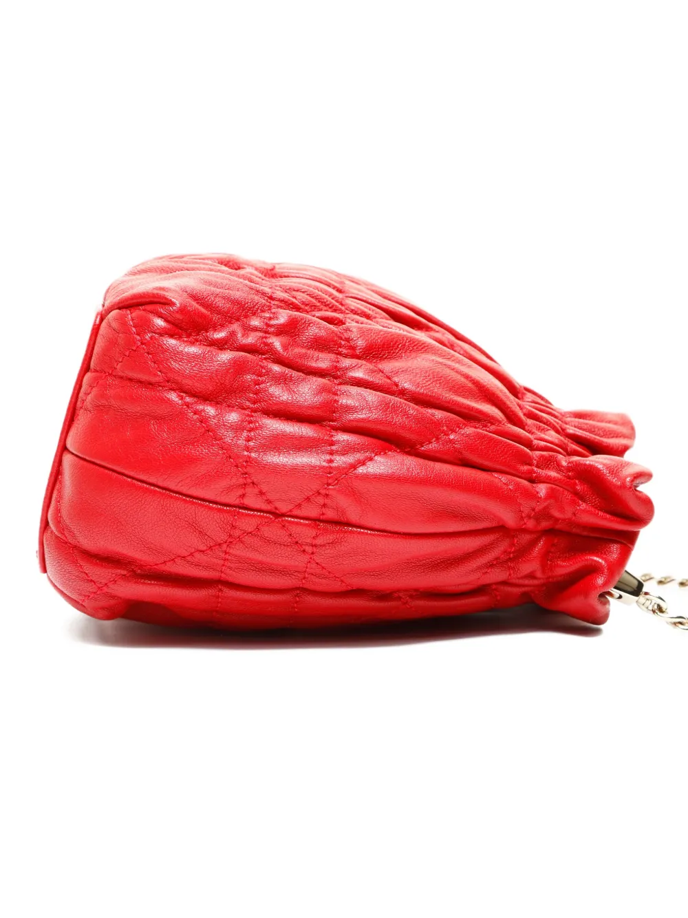 2015-2025 Mini Canage Shoulder Bag