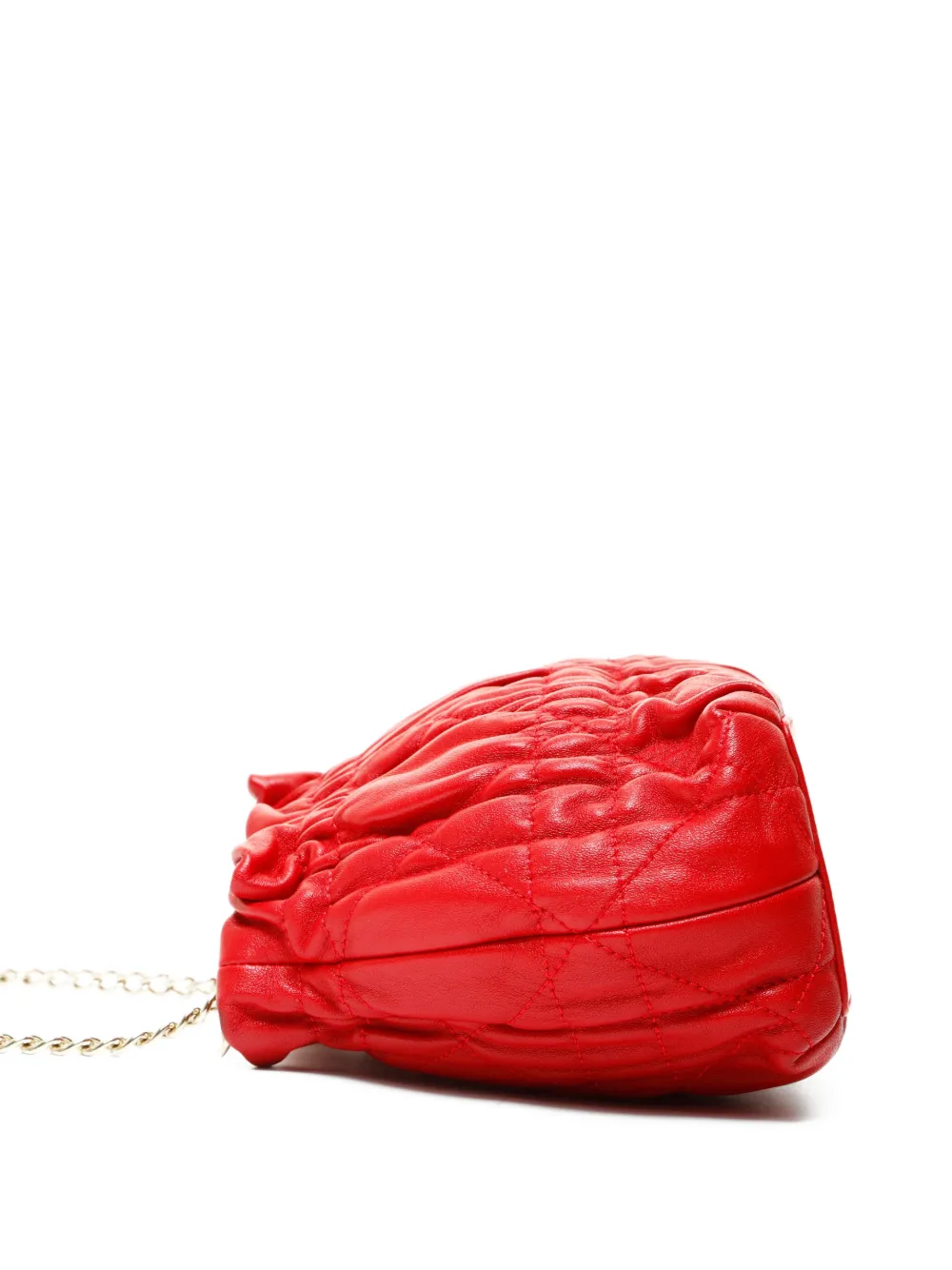 2015-2025 Mini Canage Shoulder Bag